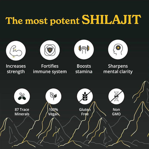 Himalayan Shilajit Resin High Potency Shilajit Supplement for Energy Boost & Immune Support, 85+ Trace Minerals, 60 Servings